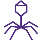 Virus icon